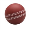 Cricket Ball