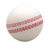 Cricket Ball - White