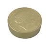 Coin (Gold)